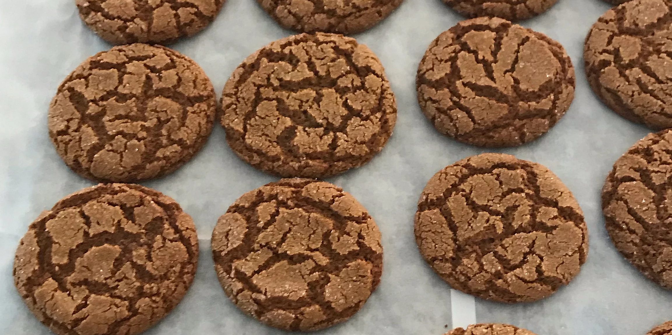 Big Soft Ginger Cookies Recipe (with CBD)