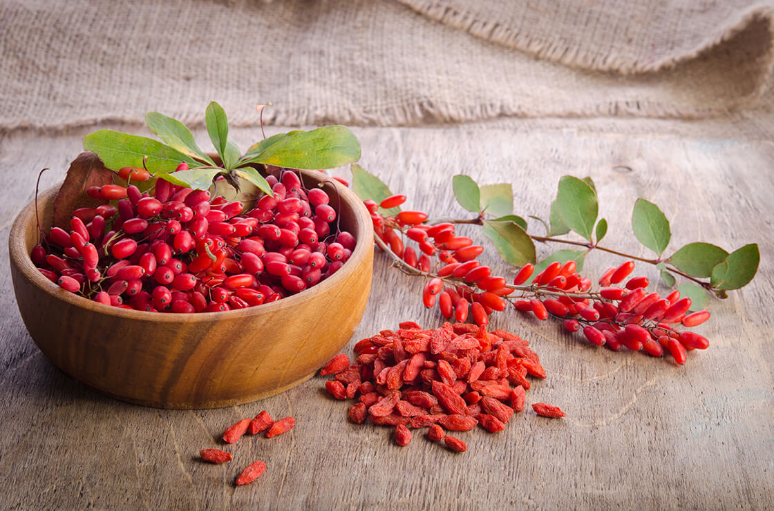 Exploring the Numerous Benefits of Goji Berry Supplements