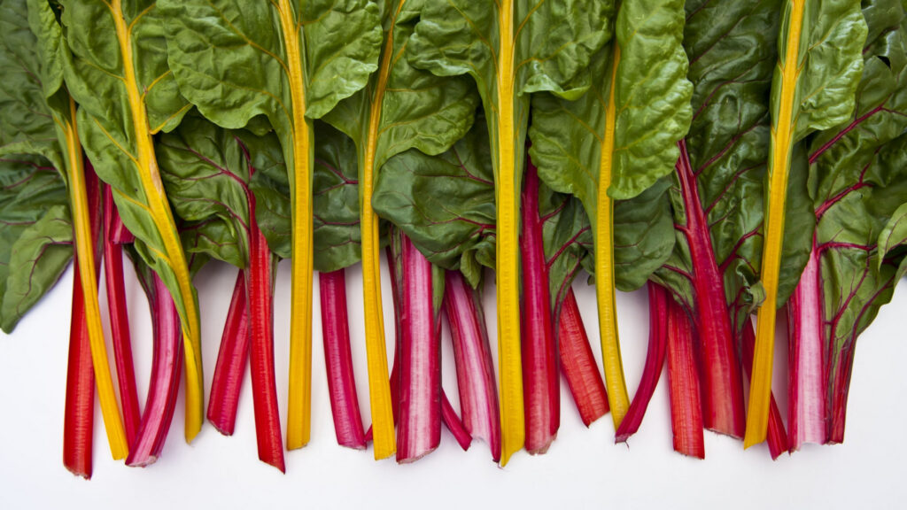 Swiss Chard